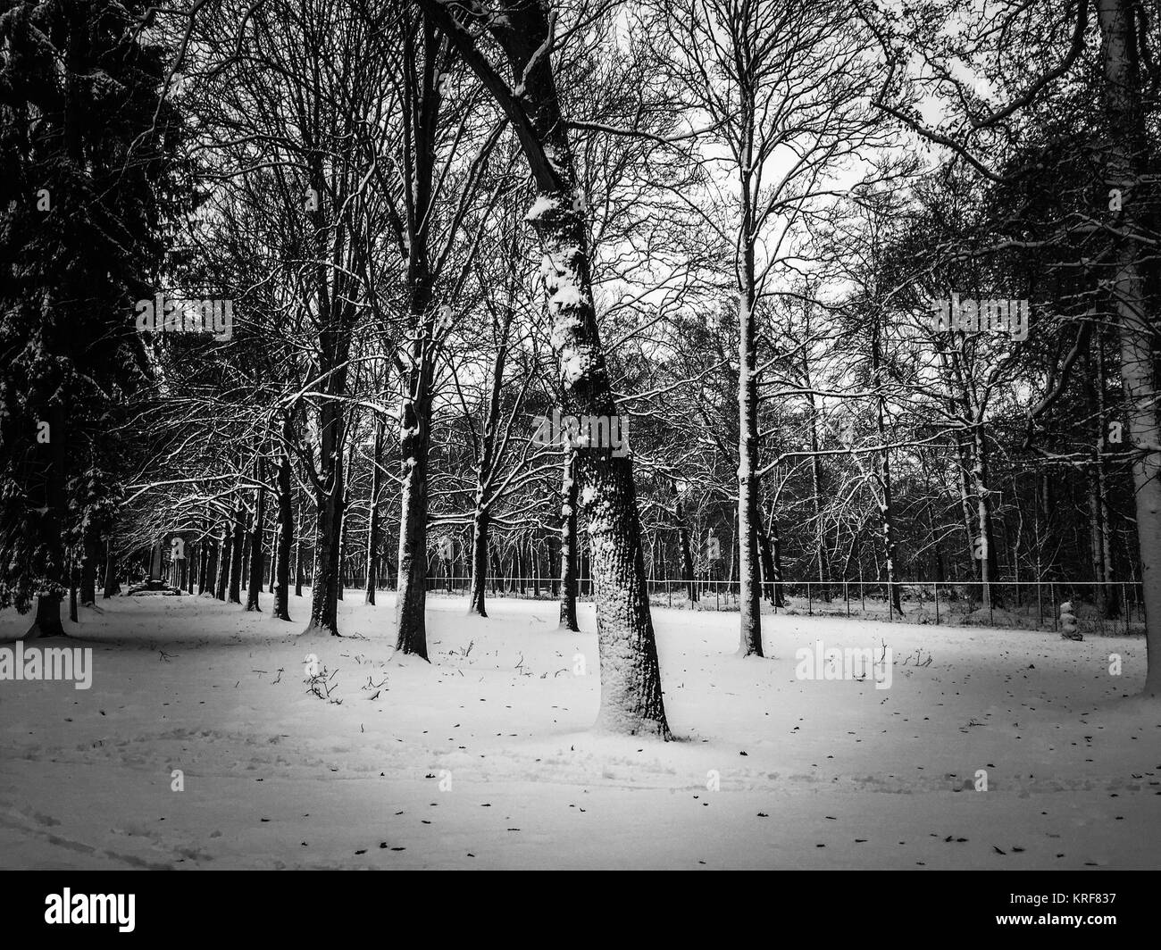 Autunno in un parco ad Anversa, in Belgio. Foto Stock