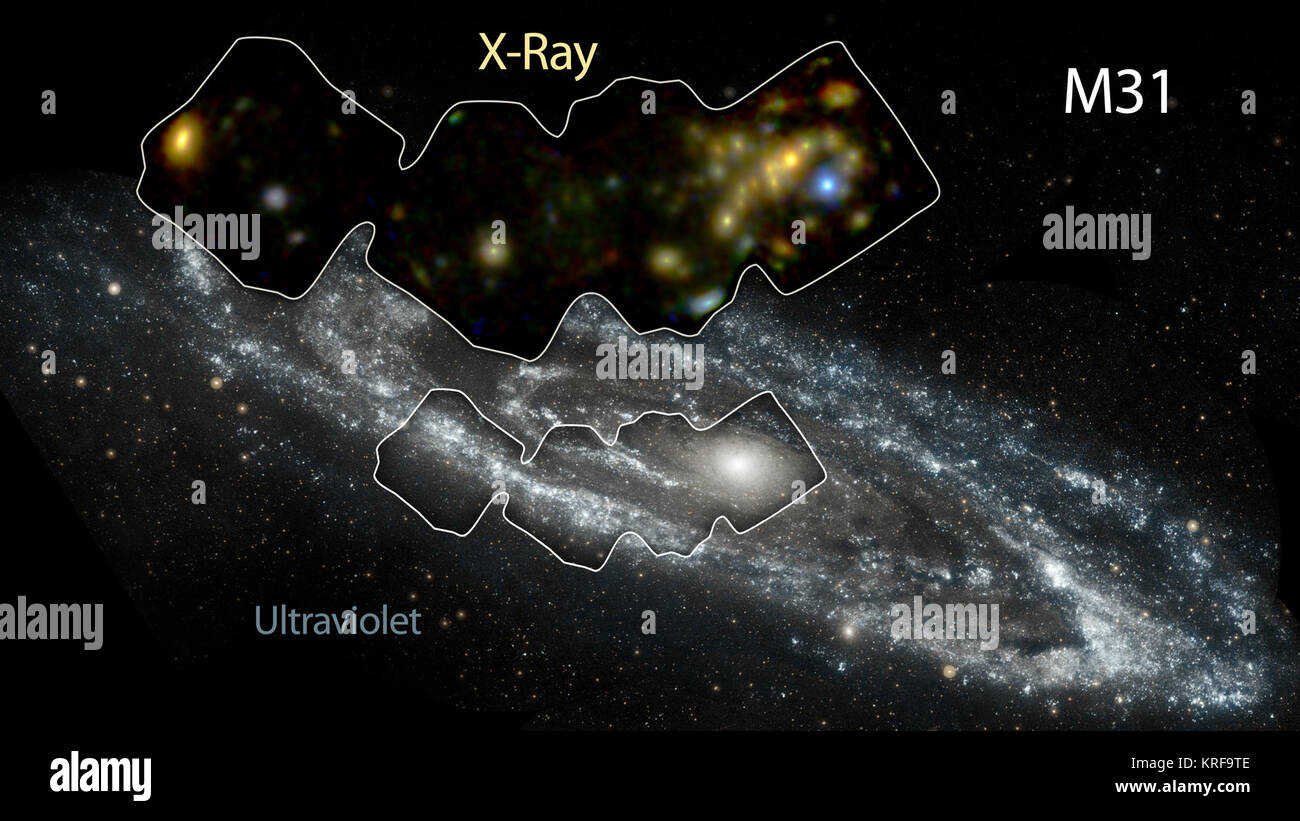 A circa 2 milioni e mezzo di anni luce di distanza, la galassia di Andromeda, o M31, è la nostra Via Lattea più grande del prossimo galattico. L' intera galassia si estende per 260.000 anni-luce attraverso - una distanza così grande, ci sono voluti dieci immagini GALEX cuciti insieme per produrre questa vista della galassia della porta accanto. Il wisp di blu che compongono la galassia bracci a spirale sono i quartieri che porto hot, giovani stelle massicce. Nel frattempo, la centrale arancione-sfera bianca rivela una congregazione dello scambiatore di calore, vecchie stelle che formate molto tempo fa. Andromeda è così brillante e vicino che è solo una delle tre galassie che possono essere avvistati fr Foto Stock