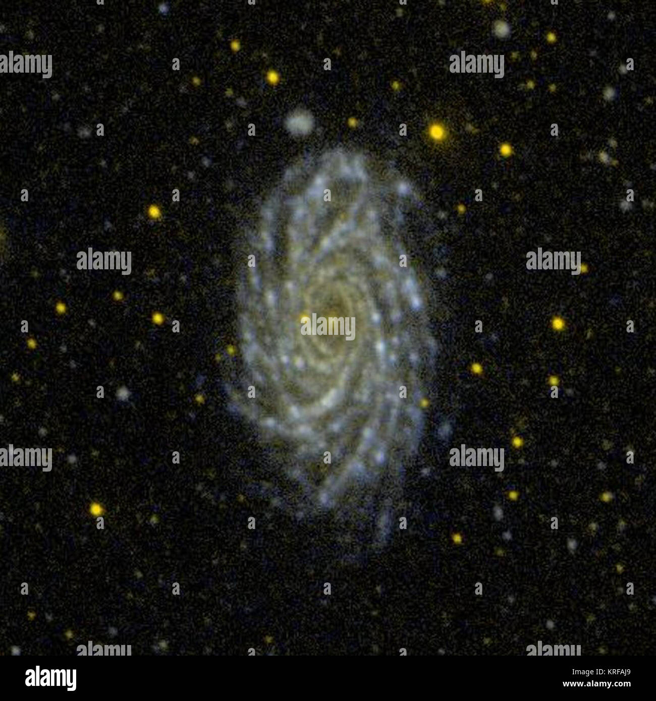 NGC 2336 GALEX WikiSky Foto Stock