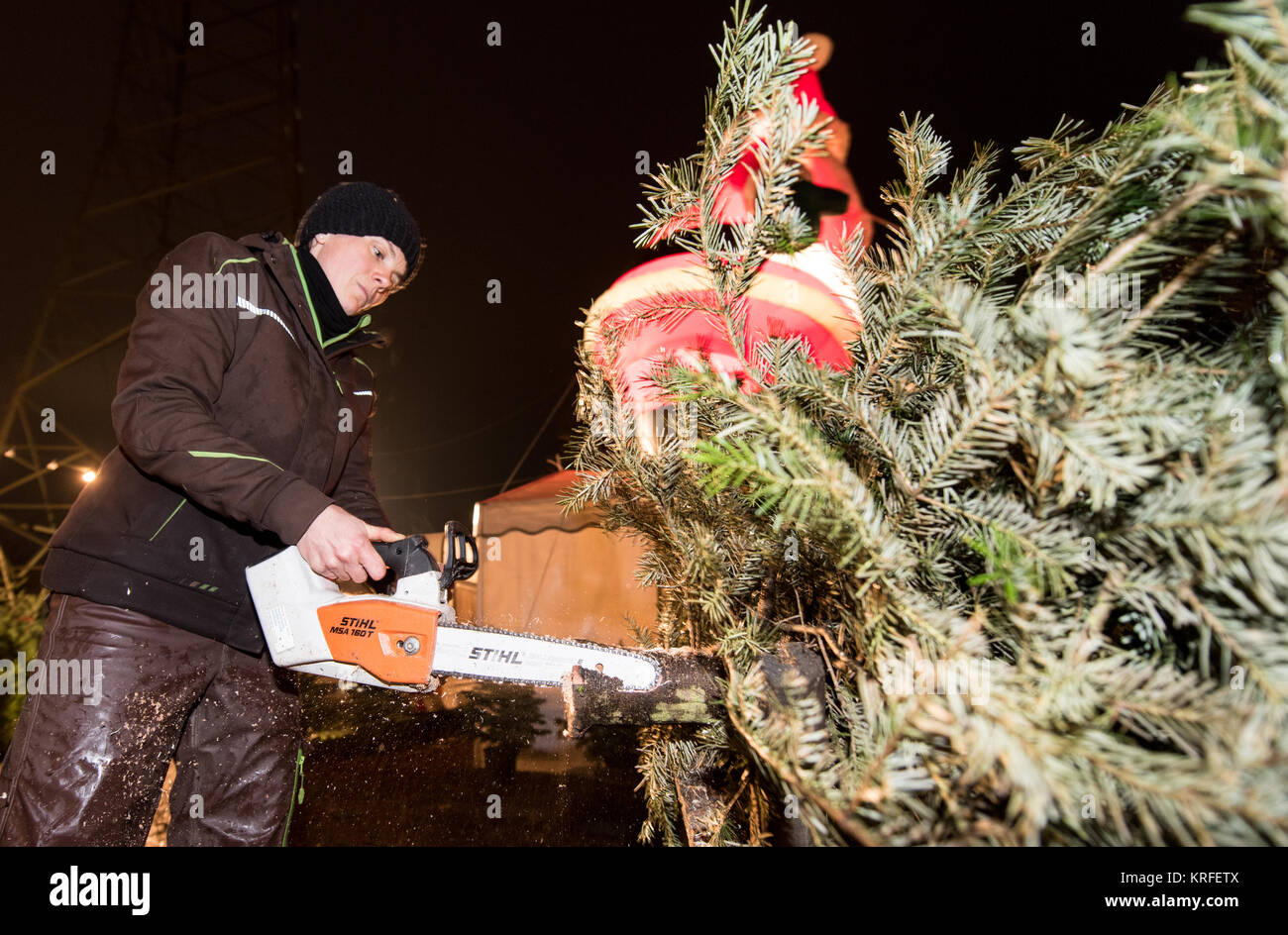 Freiburg, Germania. Xix Dec, 2017. Carolin Goeppner seghe il tronco di un albero di Natale con una motosega a Friburgo in Germania, 19 dicembre 2017. Il lettore RUSH per alberi di Natale inizia poco prima di Natale. Credito: Patrick Seeger/dpa/Alamy Live News Foto Stock
