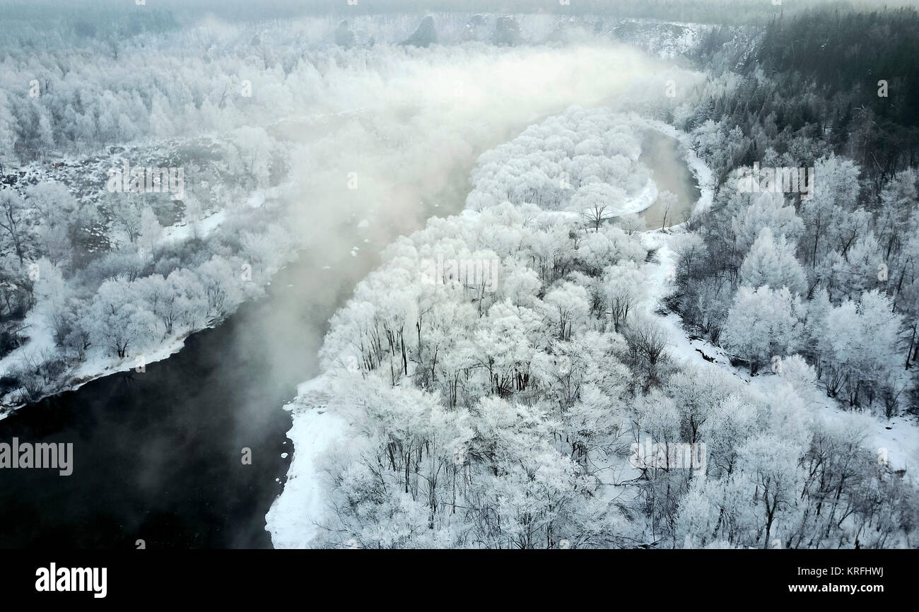 Pechino, Cina. Xxi gen, 2017. Foto aeree prese a gennaio 21, 2017 mostra le rime scenario presso il fiume Kurbin nella contea di Xunke di Heihe, a nord-est della Cina di Heilongjiang provincia. I fotografi con Xinhua News Agency ha mostrato di paesaggi in tutto il paese con fuchi. Credito: Jin Liangkuai/Xinhua/Alamy Live News Foto Stock