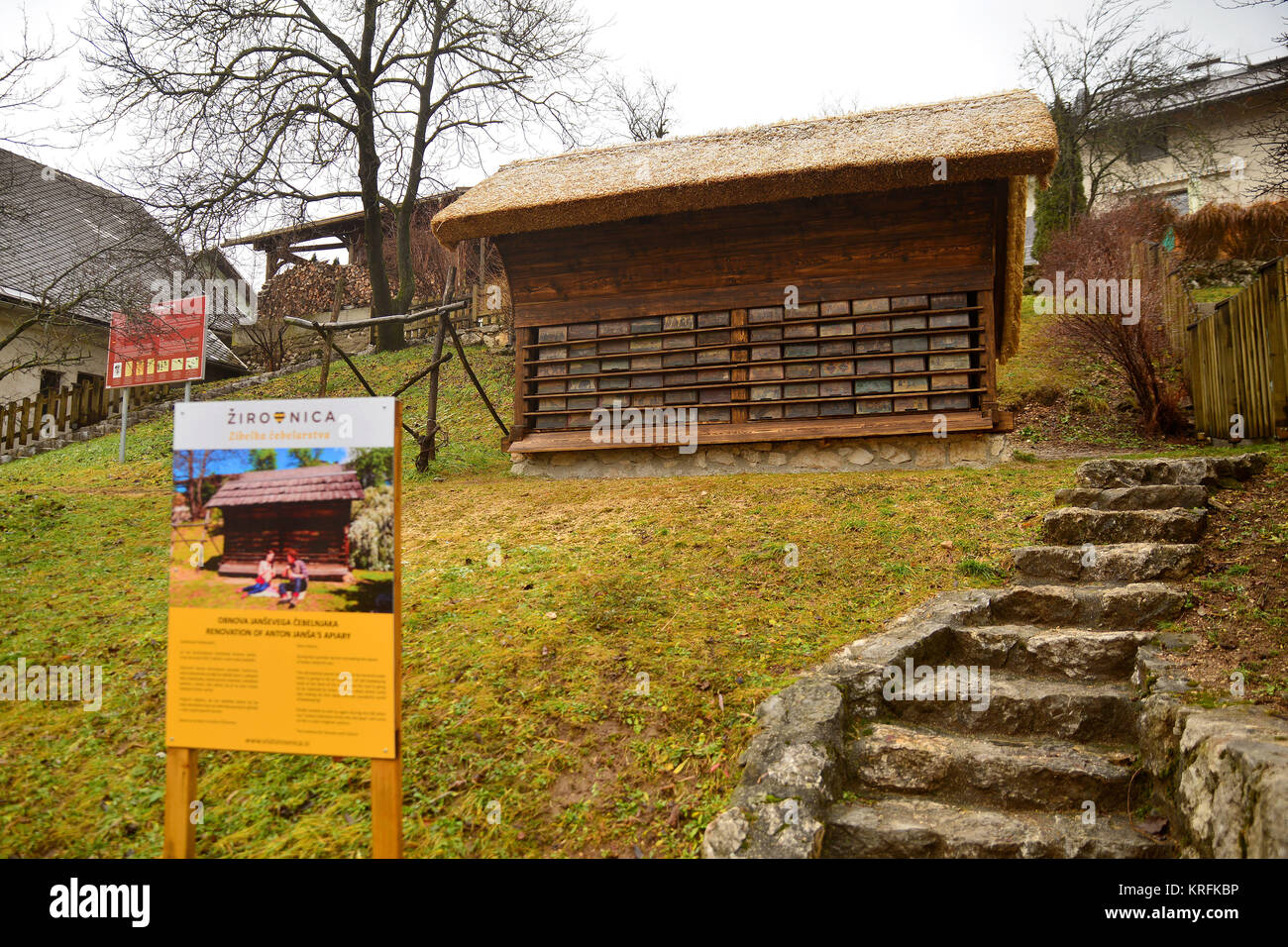 (171220) -- Lubiana, Dic 20, 2017 (Xinhua) -- Foto scattata a Dic. 16, 2017 mostra Anton Jansa's alveare di Breznica, Slovenia. Il 9 novembre 17 Quest'anno, le Nazioni Unite comitato economico e finanziario sostenuto all' unanimità la risoluzione di dichiarare il 20 maggio del mondo Bee giorno. Mercoledì una risoluzione è di essere formalmente adottato dai membri dell'Assemblea generale delle Nazioni Unite. (Xinhua/Matic Stojs) (SRB) Foto Stock
