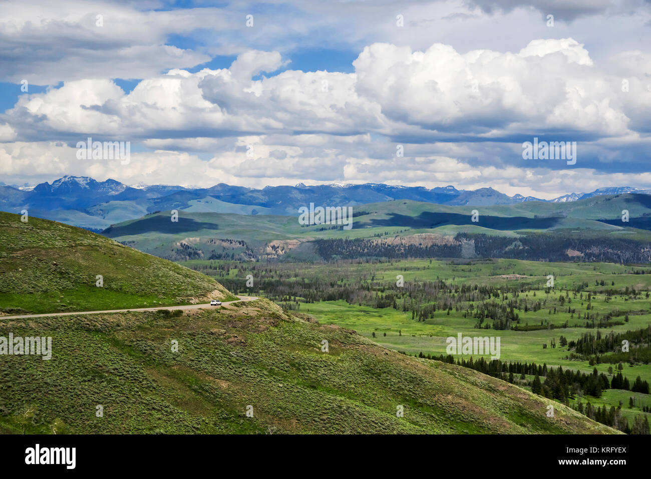 Parco Nazionale di Yellowstone , Wyoming, STATI UNITI D'AMERICA Foto Stock