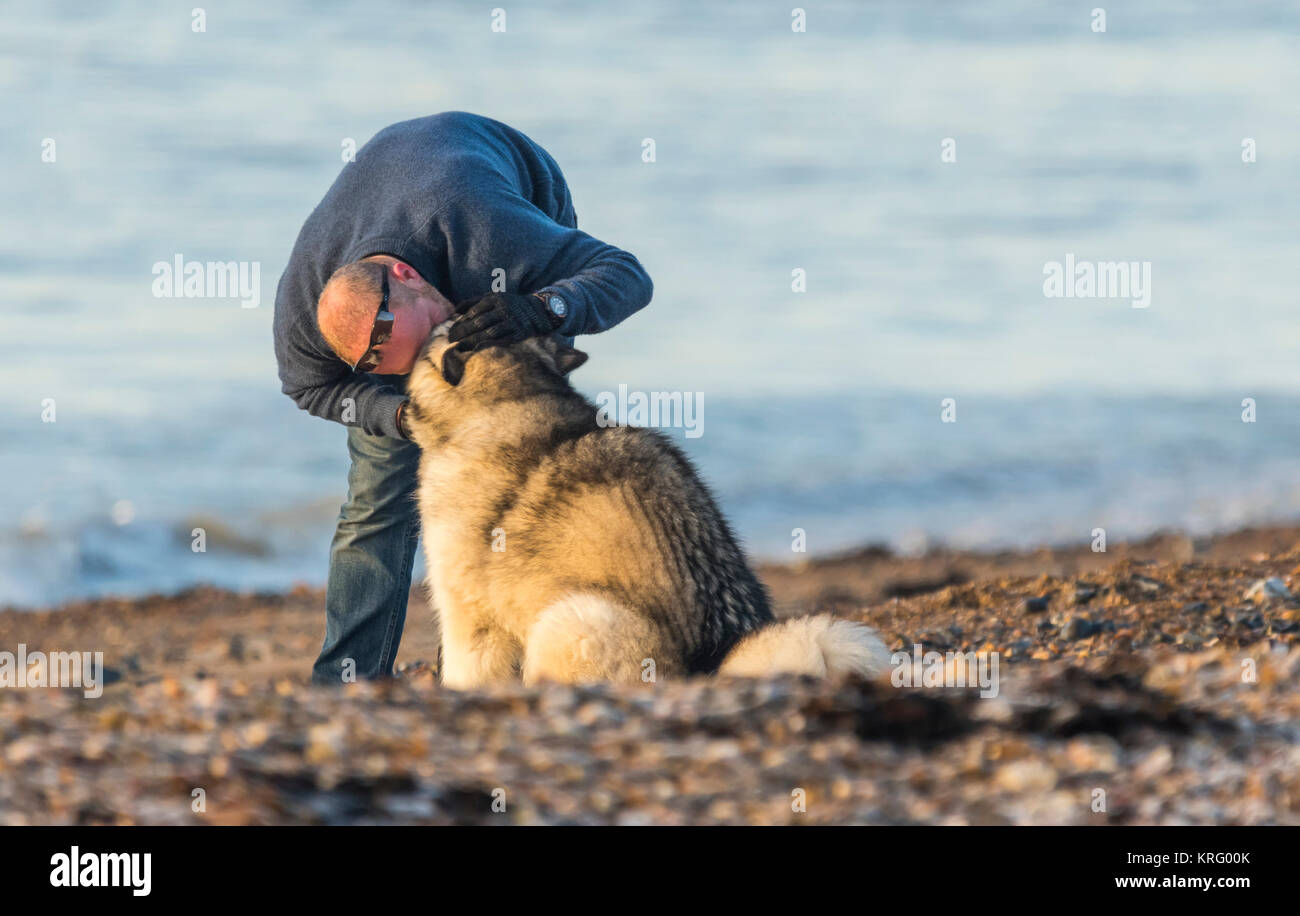 Un uomo che mostra affetto per un cane. Il migliore amico dell'uomo. Compagnia del concetto. Foto Stock