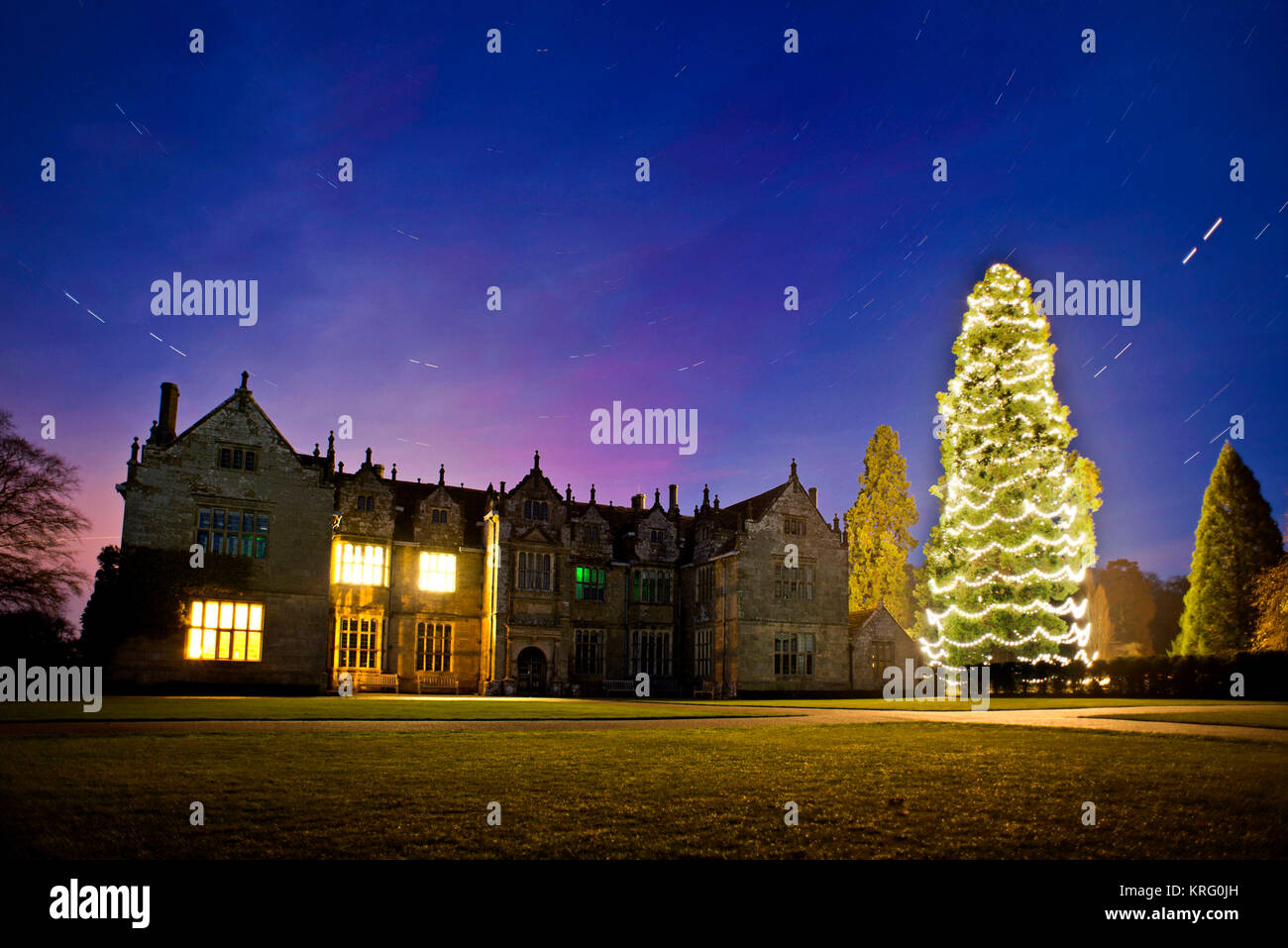 L'Inghilterra del più alto albero di Natale è stato montato questo anno con una nuova serie di luci - 1600 a bassa energia lampadine. Il 120-anno-vecchio, 118 piedi (36 metri) gi Foto Stock
