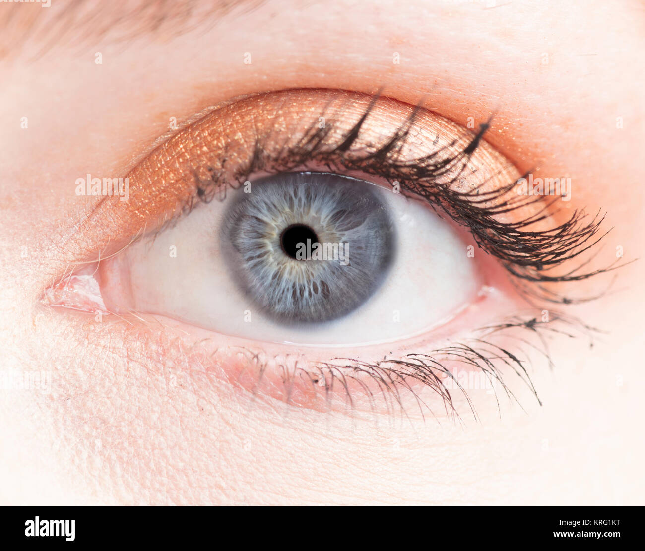 Foto macro di occhio umano, iris, alunno, ciglia, palpebre. Foto Stock