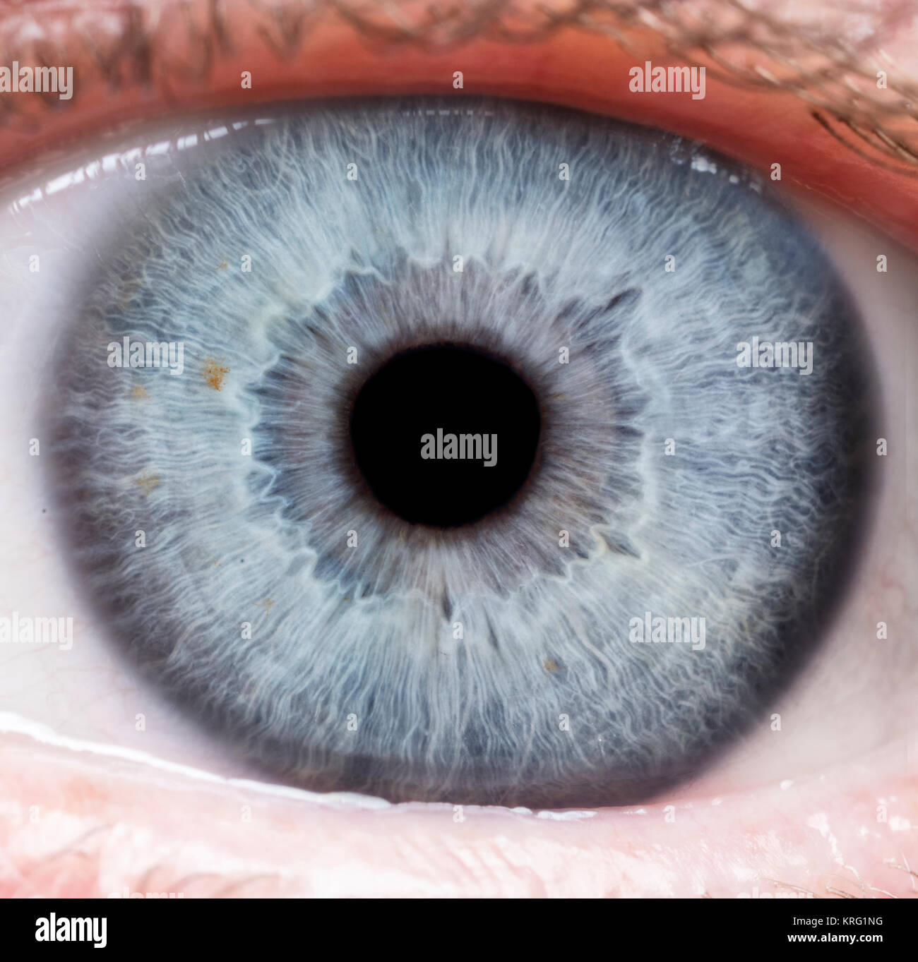 cornea adolescenti lesbien orgia porno