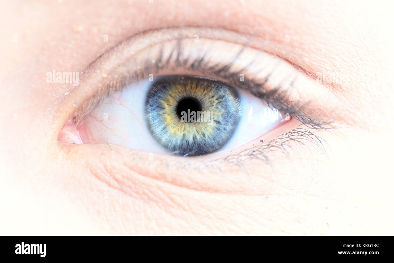 Foto macro di occhio umano, iris, alunno, ciglia, palpebre. Foto Stock