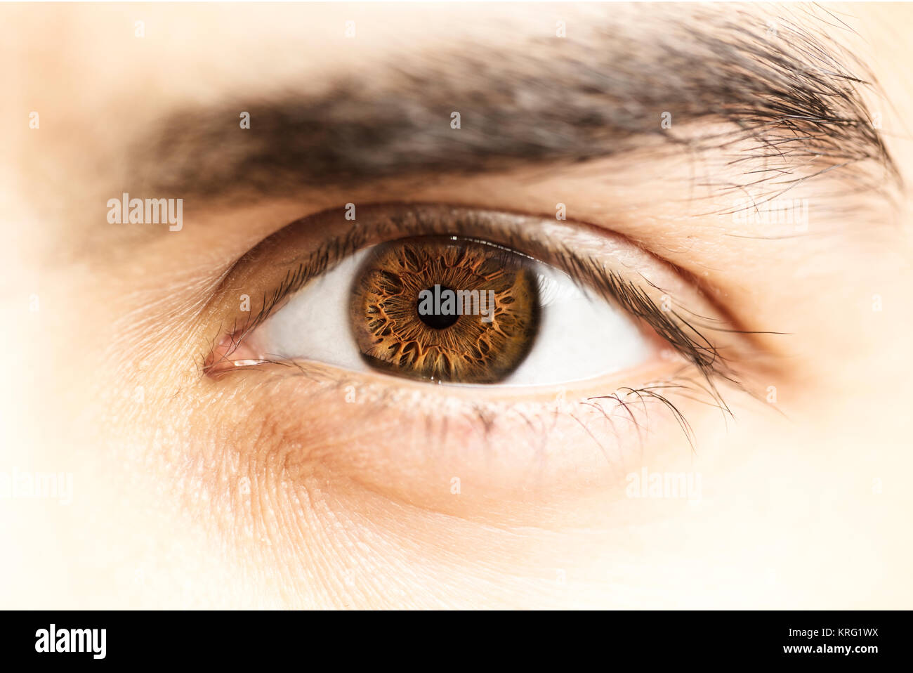 Foto macro di occhio umano, iris, alunno, ciglia, palpebre. Foto Stock