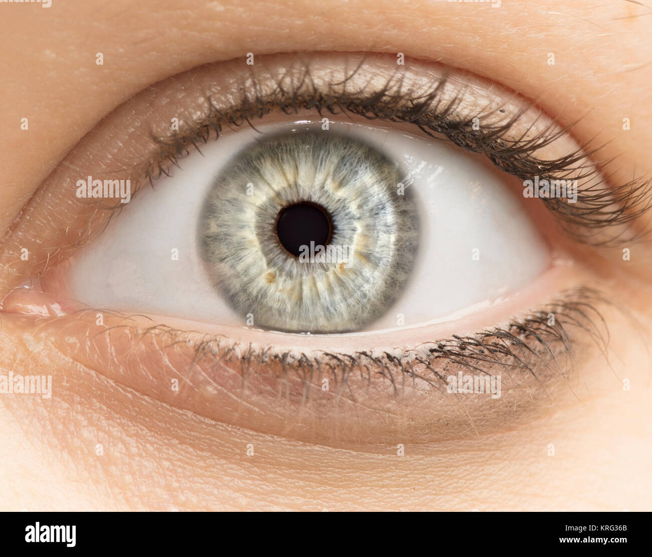 Foto macro di occhio umano, iris, alunno, ciglia, palpebre. Foto Stock