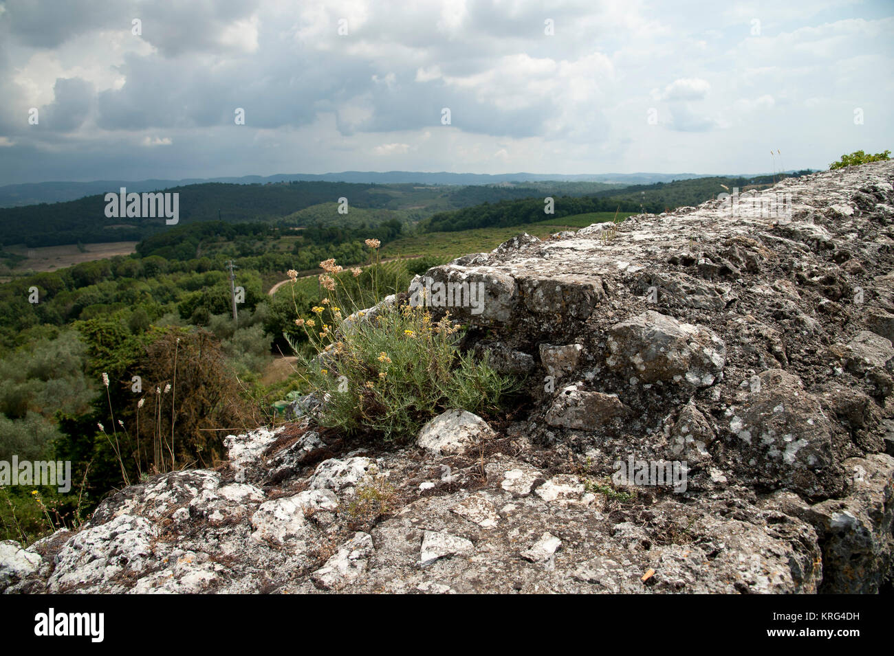 Borgo medioevale di Monteriggioni, Toscana, Italia, costruita dai senesi nel XIII secolo come una linea anteriore in conflitto con Firenze. 1 agosto 2016 © Wojci Foto Stock