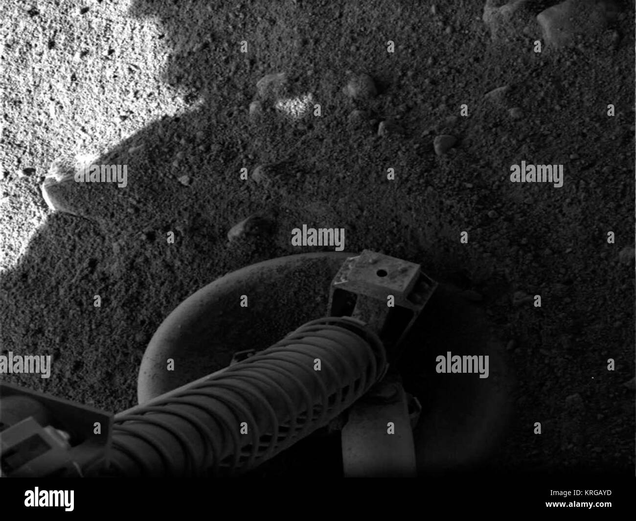 Gamba della navetta spaziale Phoenix Foto Stock
