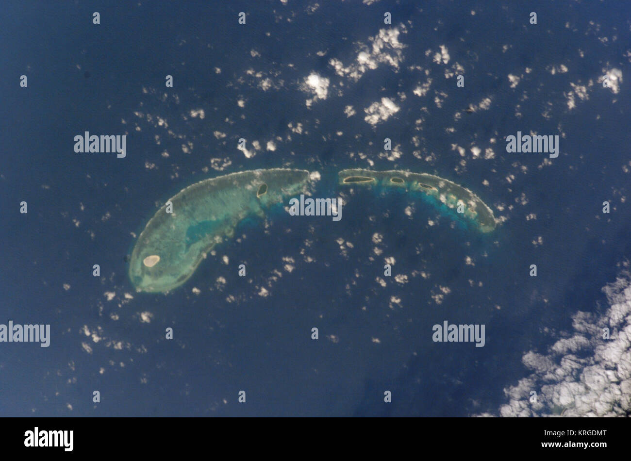 Gruppo di Anfitrite Foto Stock