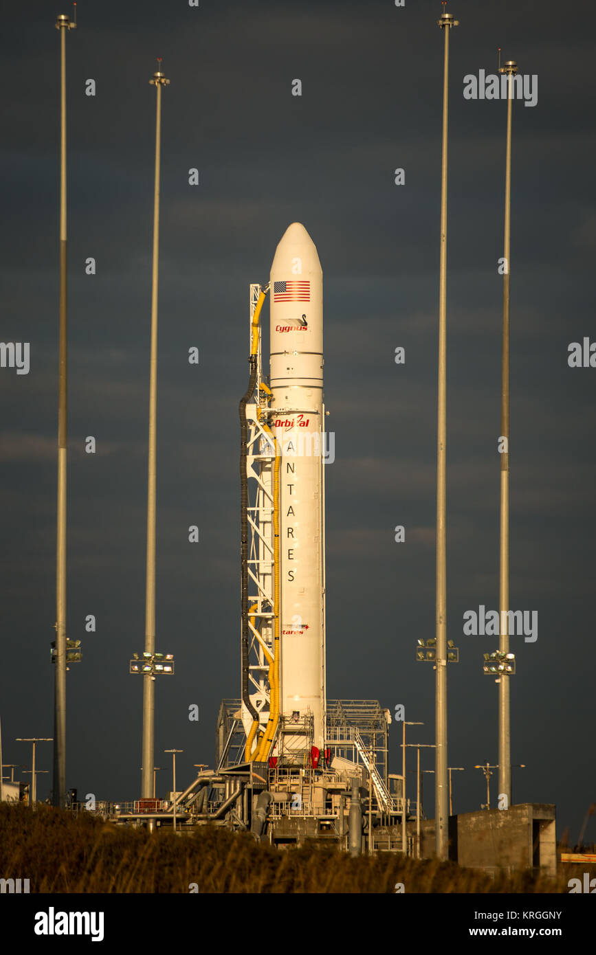 Un Orbital Sciences Corporation Antares rocket è visto su Launch Pad-0A in corrispondenza di NASA Wallops Flight Facility, lunedì 6 gennaio 2014 in anticipo di una prevista Mercoledì, Gennaio 8th, 1:32 p.m. Lancio di EST, Wallops Island, VA. L'Antares lancerà un Cygnus navicella spaziale su una nave da trasporto di rialimentazione missione alla stazione spaziale internazionale. L'orbitale-1 missione è Orbital Sciences" primo contratto consegna merci volo verso la stazione spaziale della NASA. Tra il carico a bordo di Cygnus impostato per avviare per la stazione spaziale sono esperimenti scientifici, equipaggio disposizioni, parti di ricambio e altro hardware. Photo credit: (NASA/Bi Foto Stock