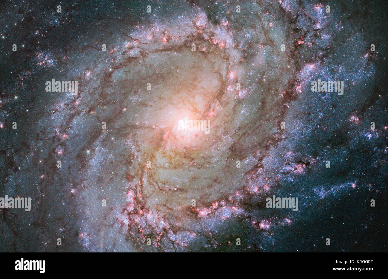 Questa nuova immagine di Hubble mostra la scatterings di stelle luminose e polvere densa che compongono la galassia a spirale Messier 83, altrimenti noto come il Sud della girandola di Galaxy. Uno dei più grandi e più vicina spirali sbarrata per noi questa galassia è drammatica e misteriosa; esso ha ospitato un gran numero di esplosione di supernovae, e sembra avere un doppio nucleo in agguato presso il suo nucleo. Hubble vista sbarrata galassia a spirale Messier 83 Foto Stock