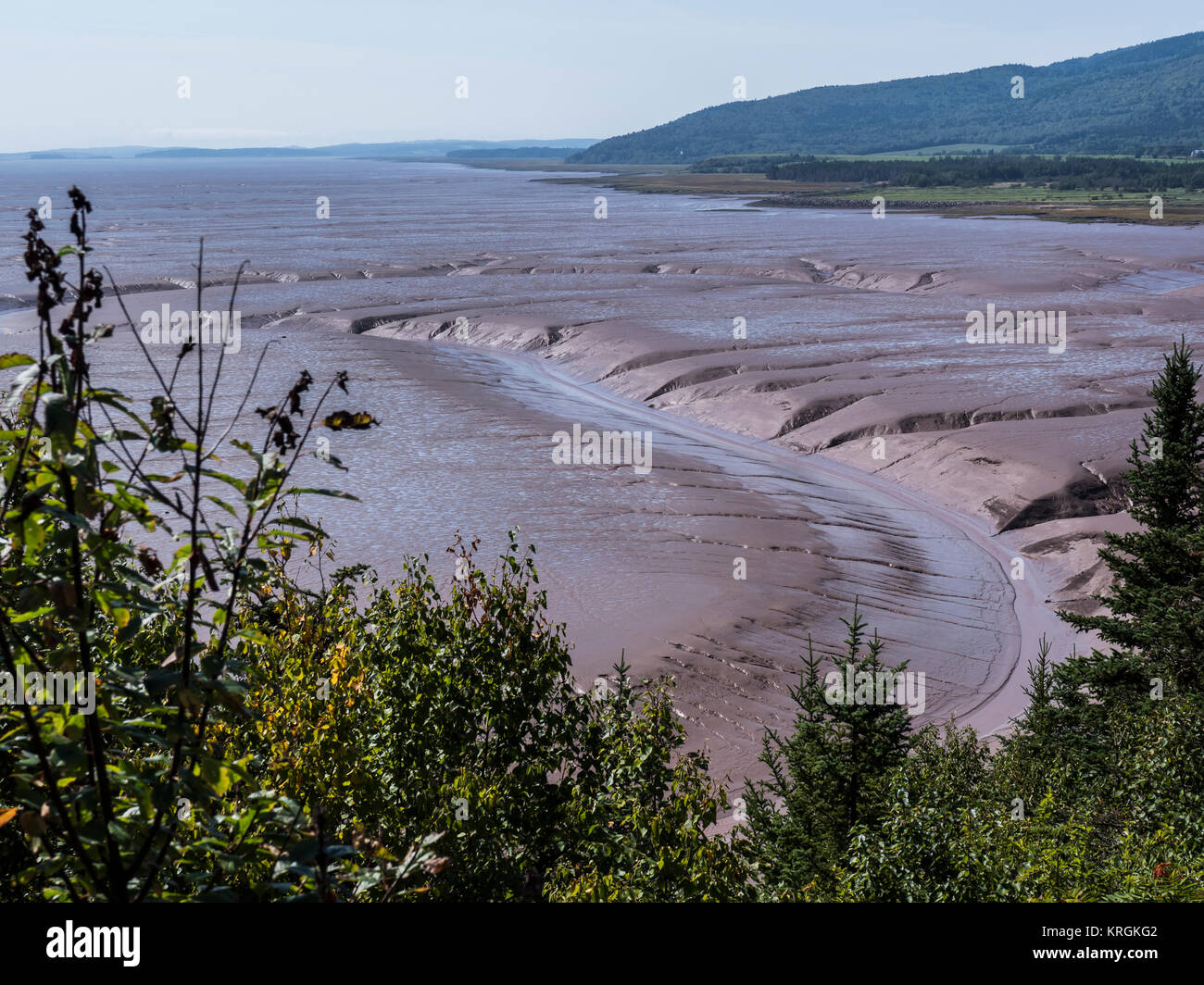 Daniel's appartamenti con la marea, Hopewell Rocks, Baia di Fundy, New Brunswick, Canada. Foto Stock