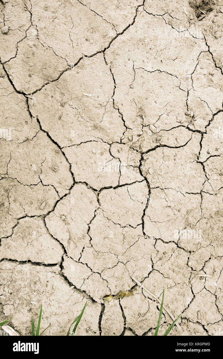 Fango secco deserto texture di sfondo Foto stock - Alamy