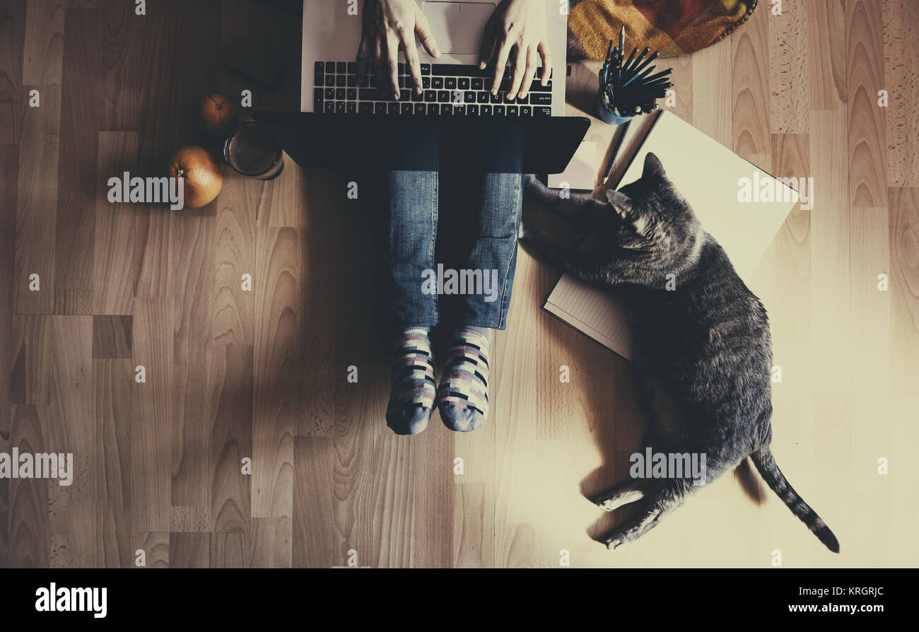 Creative home luogo di lavoro: ragazza che lavora con il suo gatto Foto Stock