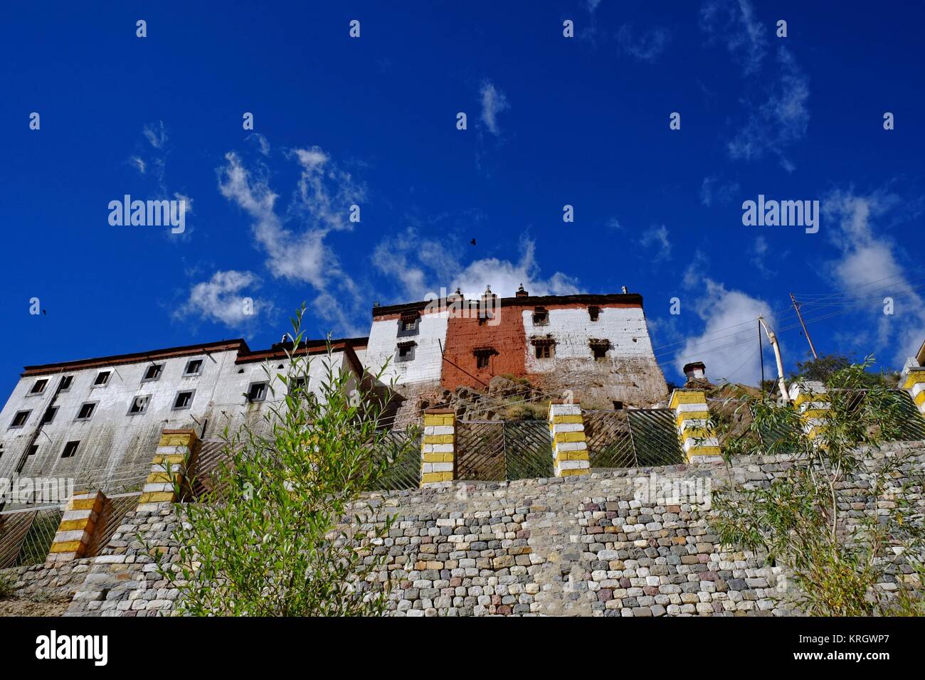 Chiave monastero buddista Kye Gompa più grande monastero nella valle Spity Himachal Pradesh India Foto Stock