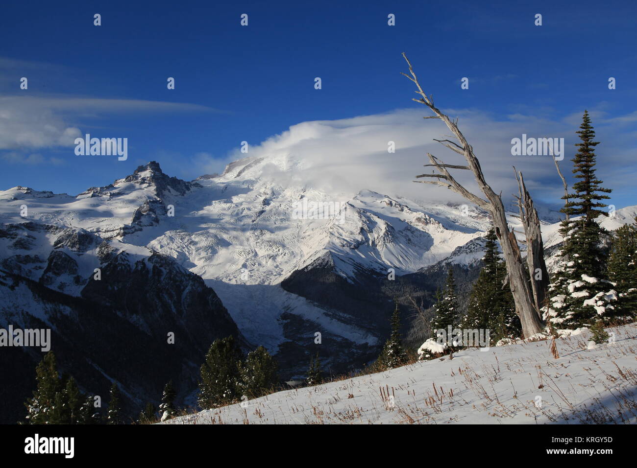 Mt Rainier dopo la tempesta di neve Foto Stock