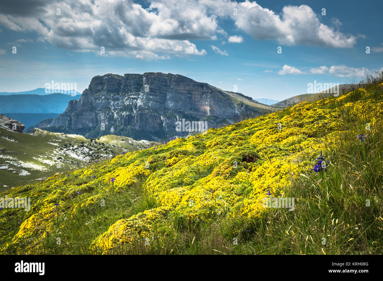 Pirenei paesaggio - Anisclo Canyon in estate. Huesca, Spagna Foto Stock