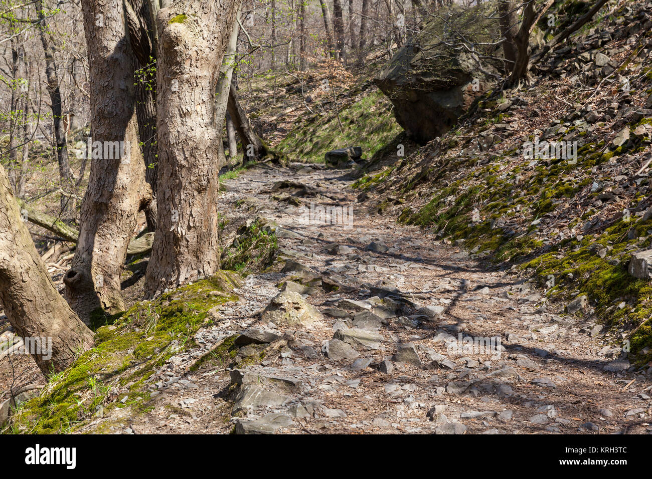 Bodetal-stieg treseburg thale Foto Stock