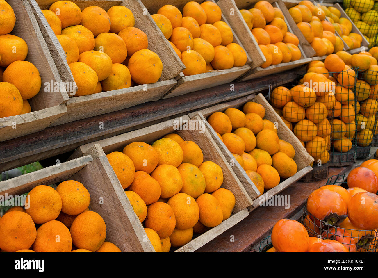 Frutta di stagione - file di scatole di legno con maturi i mandarini e kaki. Foto con una profondità di campo ridotta. Foto Stock
