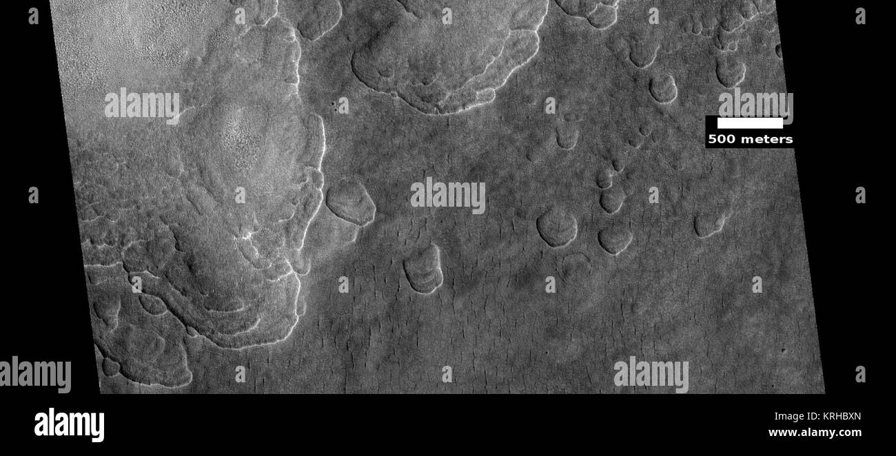 037461 ESP 2255scallopstop Foto Stock