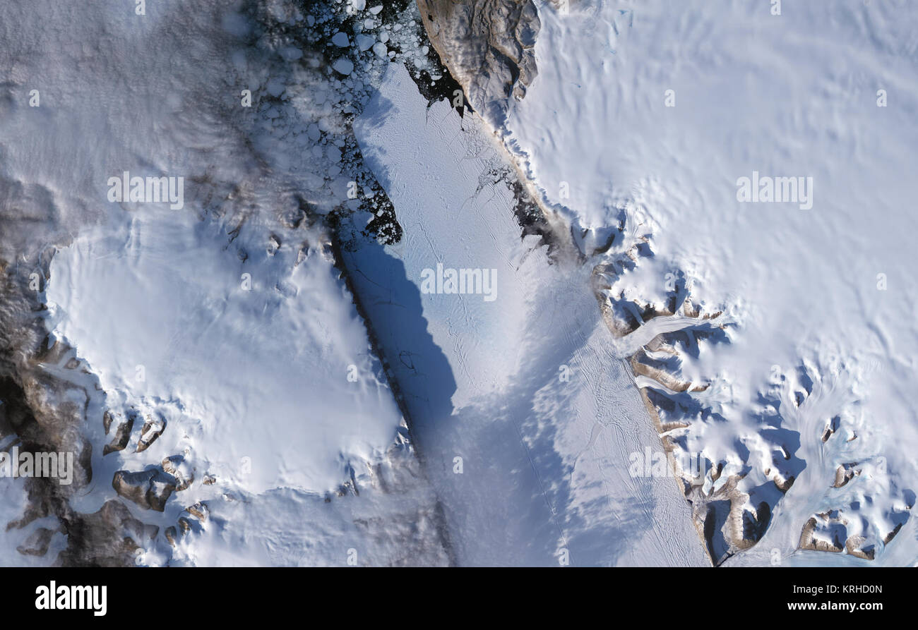 La NASA immagine acquisita il 7 settembre 2008. La NASA immagine rilasciata il 12 settembre 2008. Copre circa 1.295 chilometri quadrati (500 miglia quadrate) lungo la costa nordoccidentale della Groenlandia, Petermann Glacier flottante della lingua di ghiaccio è l'Emisfero Settentrionale la più grande e che ha di tanto in tanto hanno partorito grandi iceberg. Tra il 2000 e il 2001, il ghiacciaio ha perso quasi 87 chilometri quadrati (34 miglia quadrate). Tra il 10 luglio e 24 luglio 2008, il ghiacciaio ha perso un altro 29 chilometri quadrati (11 miglia quadrate). Ricercatori presso il Byrd Polar Research Center in Ohio State University hanno tuttavia espresso la preoccupazione maggiore Foto Stock