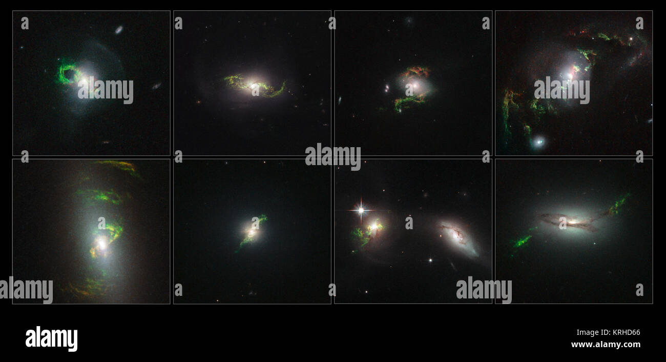 Questa immagine mostra l'avvolgimento di filamenti verdi osservati dalla NASA/ESA Telescopio Spaziale Hubble entro otto diverse galassie. L'eterea wisps in queste immagini sono state illuminate, forse brevemente, mediante un getto di radiazione da un quasar - molto luminosa e compatta regione che circonda un buco nero supermassiccio al centro di una galassia. In ciascuno di questi otto immagini di un quasar fascio ha causato una volta-filamenti invisibili nello spazio profondo a brillare attraverso un processo chiamato photoionisation. Ossigeno, elio, azoto, zolfo e neon in filamenti di assorbire la luce dal quasar e lentamente ri-emettere su m Foto Stock