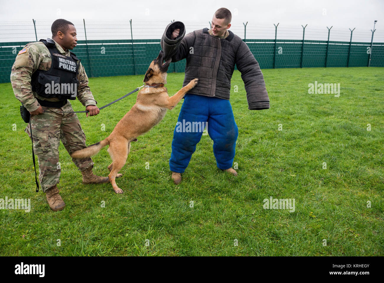 Stati Uniti Army Spc. Tahle Teabout, militari cane da lavoro (MWD) gestore con il centesimo MWD DISTACCO, comandi militari di cane da lavoro Rex, un bambino di sette anni Malinois, come si morde la tuta indossata da U.S. Army Spc. Douglas Ianificazione, assegnato all'Wingene Provost Marshall ufficio presso U.S. Army Garrison Benelux, per MWD familiarizzazione della formazione, su Wingene Air Base, Belgio, 7 dicembre, 2017. (U.S. Esercito Foto Stock