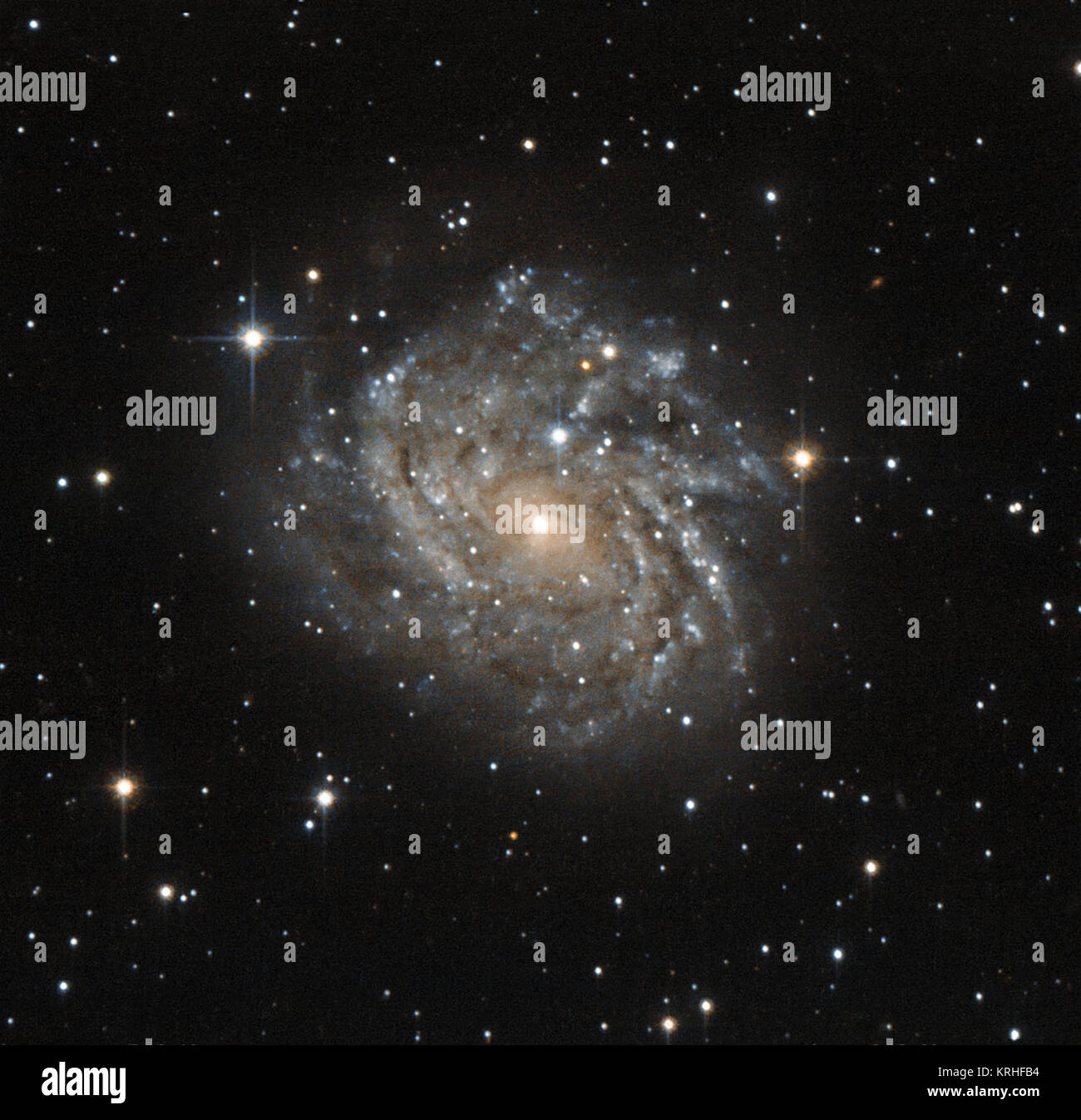 Questo poco noto galaxy, ufficialmente denominato J04542829-6625280, ma più spesso indicato come LEDA 89996, è un classico esempio di una galassia a spirale. Il Galaxy è molto simile alla nostra galassia, la Via Lattea. A forma di disco galaxy è visto sulla faccia, rivelando la struttura di avvolgimento dei bracci a spirale. Macchie scure in questi bracci a spirale sono in realtà polvere e gas - materie prime per la fabbricazione di nuove stelle. I numerosi giovani stelle che si formano in queste regioni rendono i bracci a spirale appaiono brillanti e bluastri. La galassia si trova in una vivace area del cielo notturno entro la costellazione del Dorado (il pesce spada), e appare molto Foto Stock