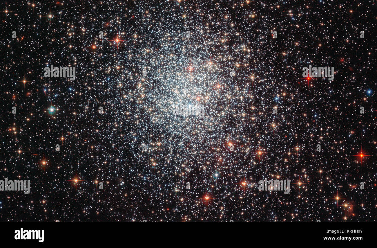 Qui illustrato in una nuova immagine scattata con la fotocamera avanzata per i sondaggi (ACS) sul bordo della NASA/ESA telescopio spaziale Hubble, è il cluster globulari NGC 1783. Questo è uno dei più grandi ammassi globulari nella grande Magellanic Cloud, una galassia satellite della nostra galassia, la Via Lattea, nell'emisfero australe costellazione di Dorado. Osservato per la prima volta da John Herschel nel 1835, NGC 1783 è quasi 160 000 anni luce dalla Terra e ha una massa circa 170 000 volte quella del sole ammassi globulari sono collezioni dense di stelle tenute insieme dalla loro gravità, che orbita intorno a galassie simili Foto Stock