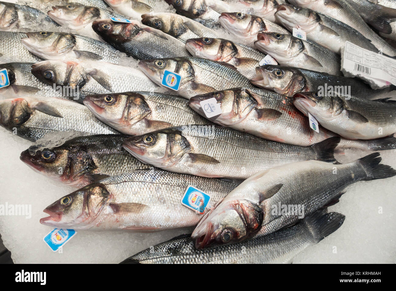 Fresh fish on ice spanish immagini e fotografie stock ad alta risoluzione -  Alamy
