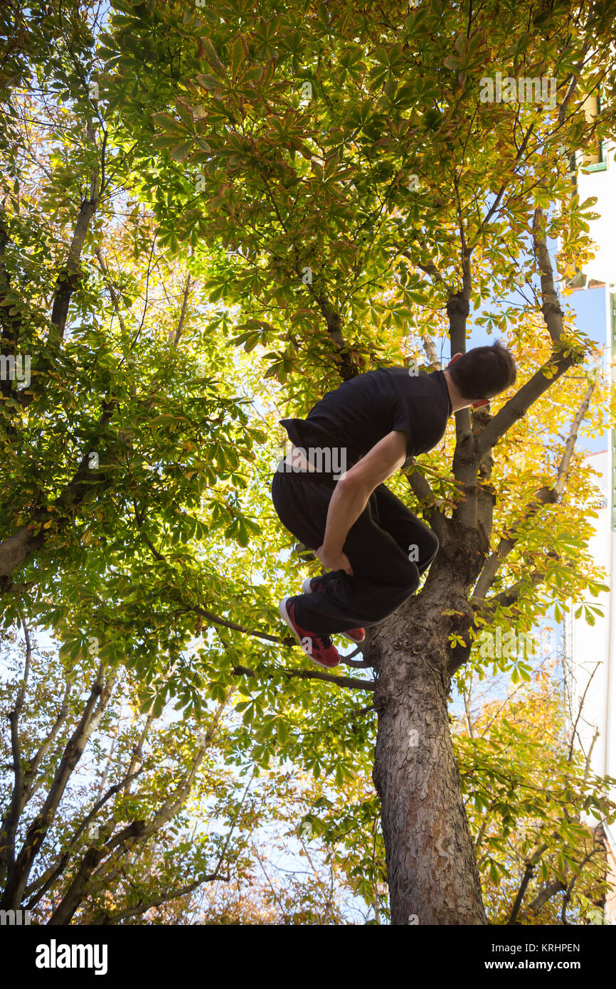 Giovane uomo facendo un lato flip o capriola mentre si pratica parkour sulla strada con un albero in background. Foto Stock