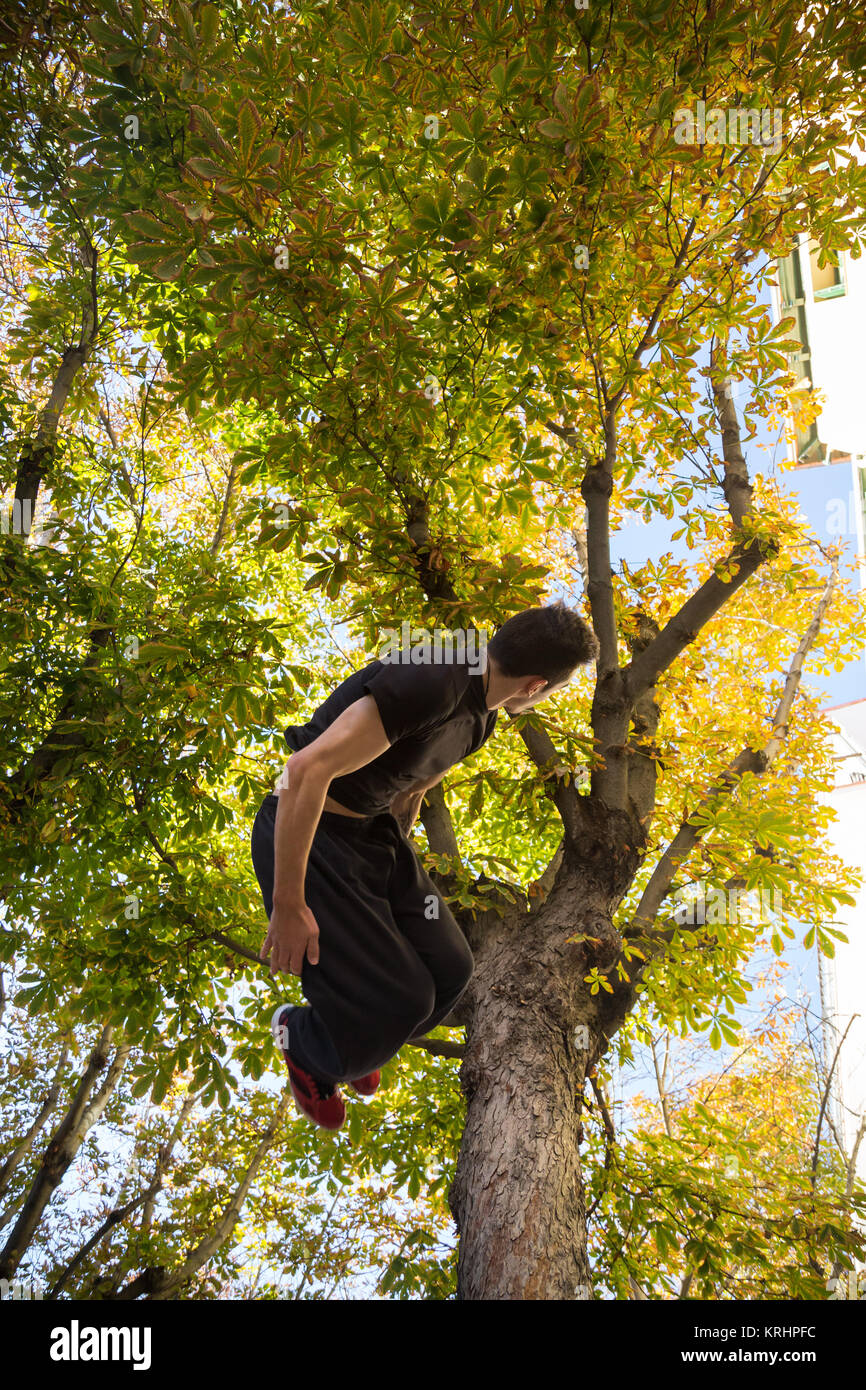 Giovane uomo facendo un lato flip o capriola mentre si pratica parkour sulla strada con un albero in background. Foto Stock