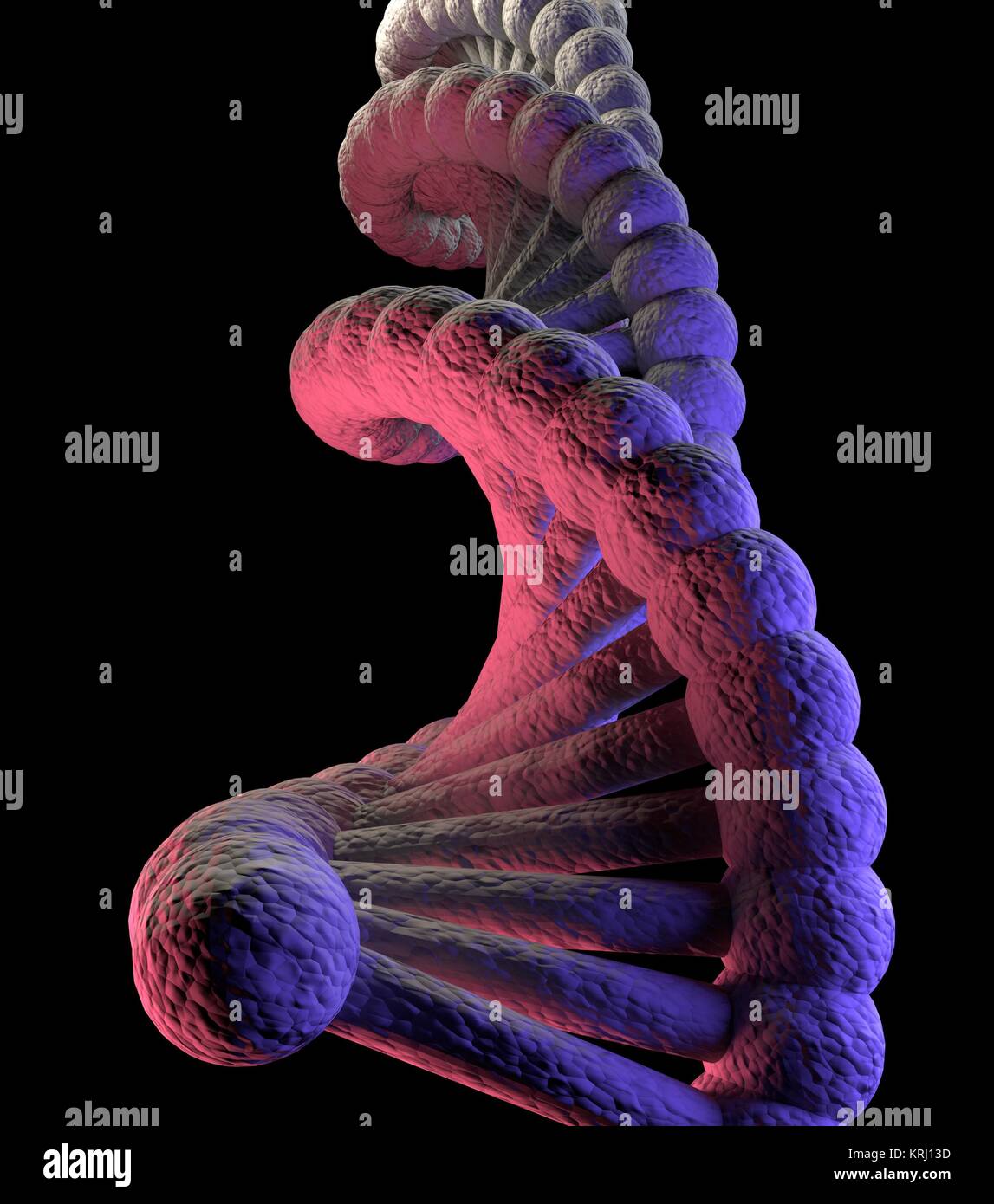 Molecola di DNA rosso blu nero Foto Stock