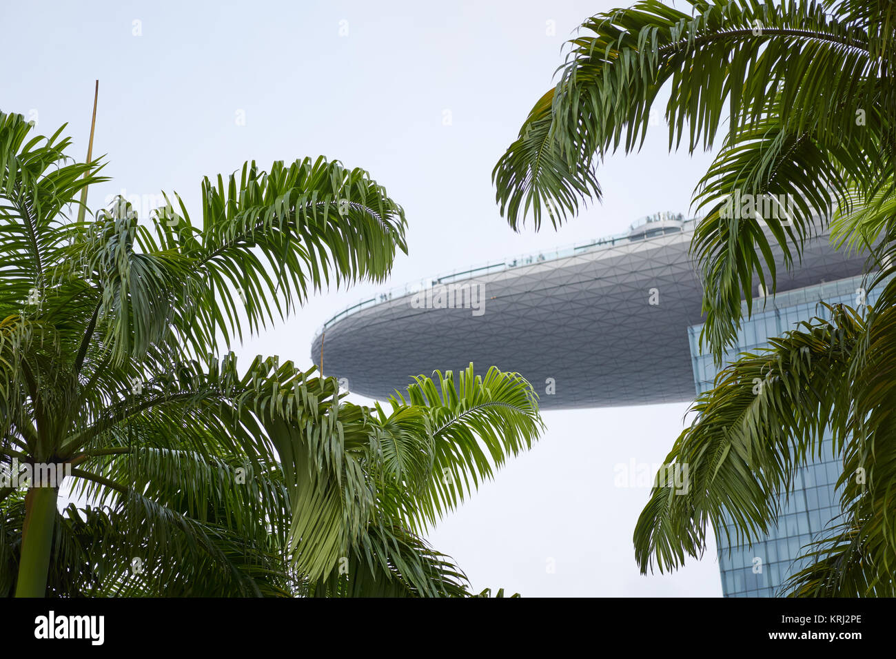 Il Marina Bay Sands Hotel e SkyPark di Singapore incorniciato da fronde di palme Foto Stock