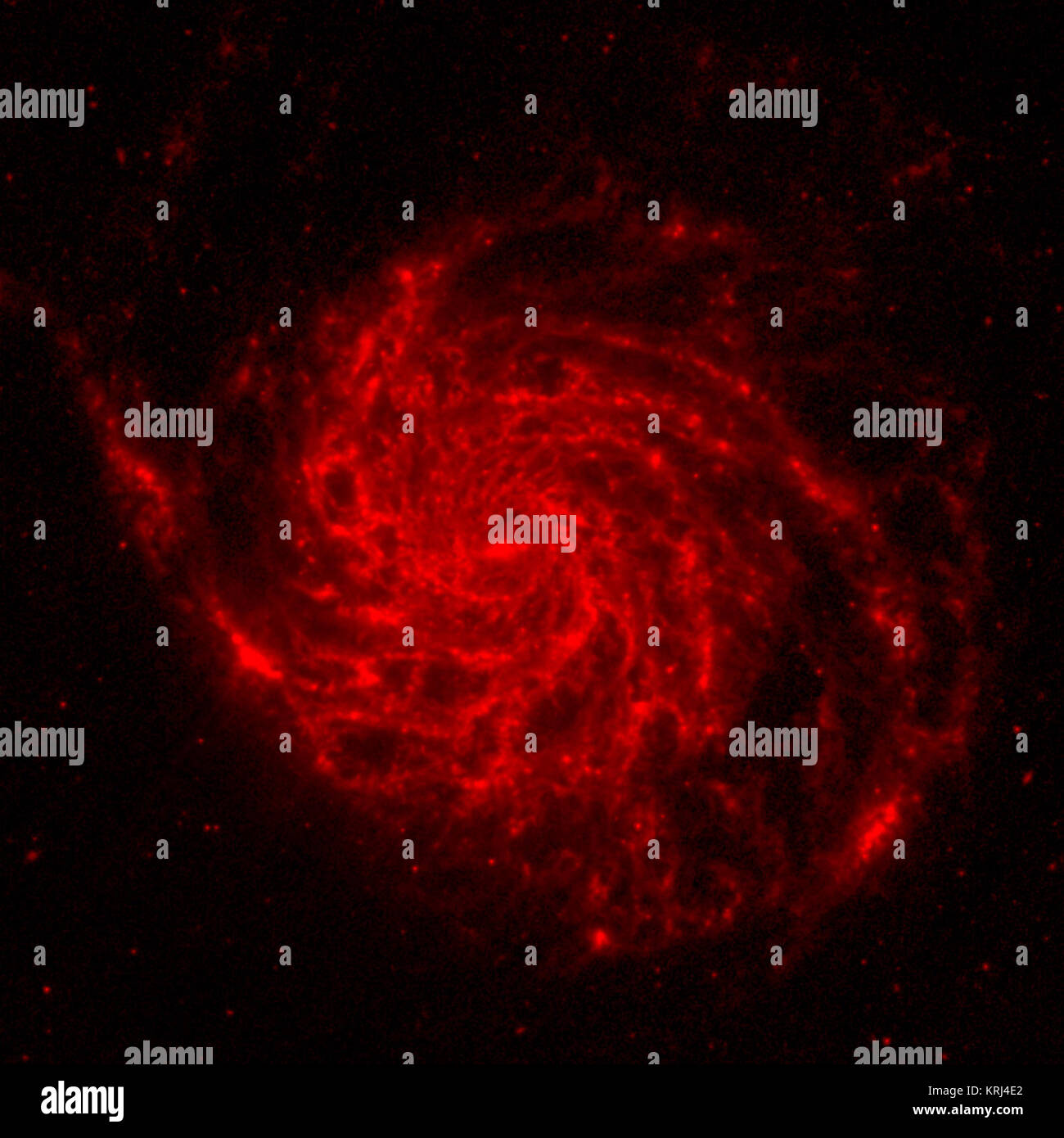 Il colore rosso mostra dello Spitzer in vista la luce a infrarossi. Esso mette in evidenza il calore emesso dai vicoli di polvere nella galassia dove le stelle possono formare. Messier 101 (componente rossa, catturate dal telescopio spaziale Spitzer) Foto Stock