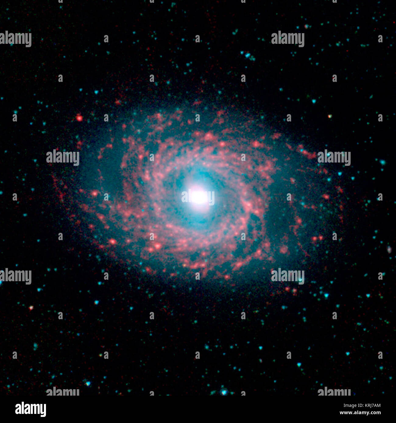 Questa immagine della galassia NGC 3351, situato a circa 30 milioni di anni luce di distanza nella costellazione del Leone è stato catturato dalla Spitzer infrarosso vicino Galaxy Survey (canta) Legacy Project utilizzando il telescopio ad infrarossi fotocamera Array (IRAC). La notevole galaxy è impreziosito da bellissimi "anelli" di formazione stellare come visto in più (rosso) lunghezze d'onda, trafitto da una massiccia bar-come struttura stellare (luce blu) che si estende dal nucleo al disco cerchiati. La canta immagine è a quattro canali di falsi colori compositi, dove il blu indica l'emissione a 3.6 micron, verde corrisponde a 4,5 micron Foto Stock