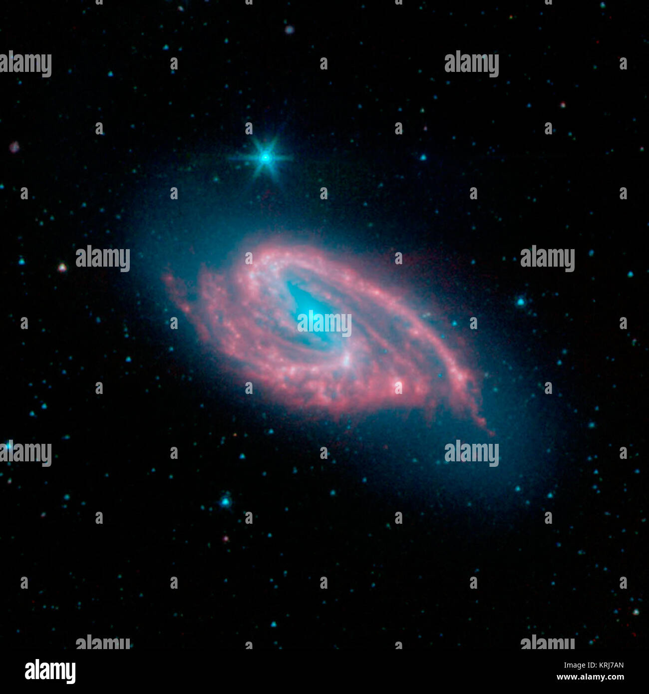 Questa immagine della galassia a spirale NGC 3627, noto anche come Messier 66, è stata catturata dal Spitzer infrarosso vicino Galaxy Survey (canta) Legacy Project utilizzando il telescopio ad infrarossi fotocamera Array (IRAC). NGC 3627 è stimato a 30 milioni di anni luce distante e visto verso la costellazione del Leone. Gli astronomi hanno il sospetto che la galassia forma distorta è dovuta alle sue continue interazioni gravitazionali con i suoi vicini Messier 65 e NGC 3628. NGC 3627 è un altro brillante esempio di banditi galassia a spirale, il tipo più comune di disco galaxy nell'universo locale. Il suo nucleo blu e il bar-come struc Foto Stock