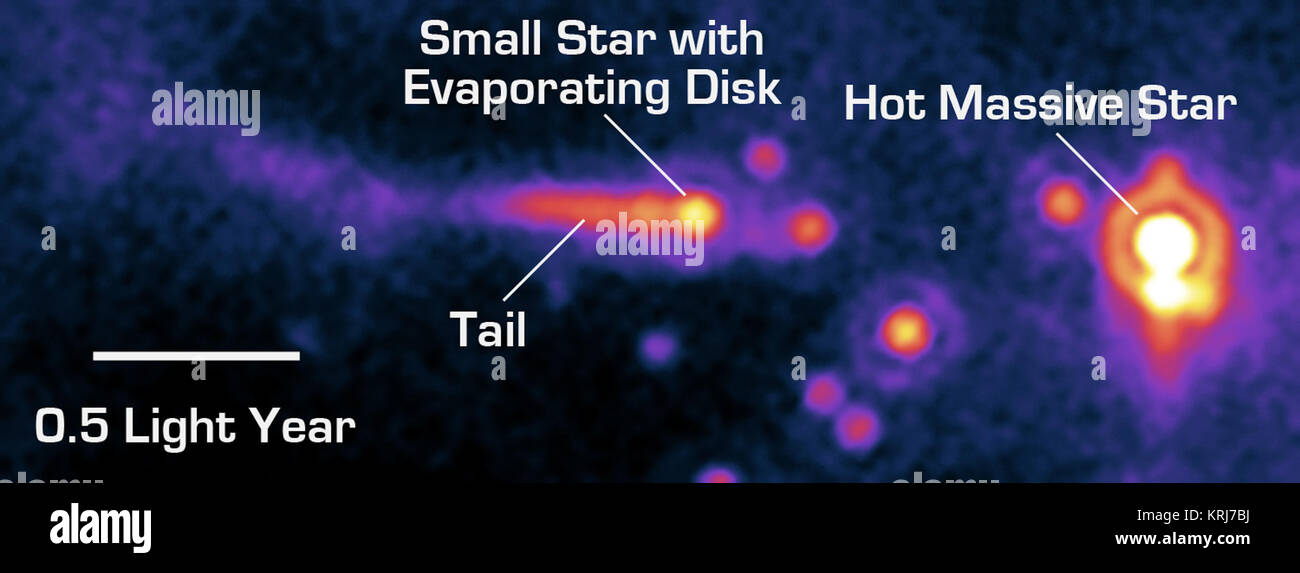 Il potenziale pianeta-la formazione di disco (o 'protoplanetary disk') di sun-come star viene violentemente strappato via dal vento potente di un caldo nelle vicinanze O-tipo stella in questa immagine dalla NASA il telescopio spaziale Spitzer. Fino a 100 volte la massa del sole-come le stelle, 0 stelle sono la più massiccia ed energica stelle dell'universo. L'O star può essere visto a destra dell'immagine, come la grande macchia di colore arancione con centro bianco. A sinistra la stella cometa come struttura è effettivamente un paese limitrofo di sistema solare che viene distrutta dalle stelle o i potenti venti e intensa luce ultravioletta. In un processo Foto Stock