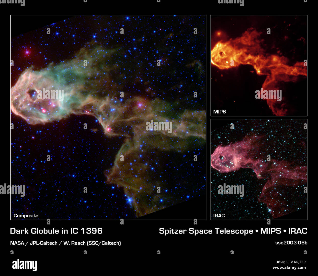 NASA il telescopio spaziale Spitzer ha catturato un incandescente vivaio stellare entro un globulo scuro che è opaco alla luce visibile. Queste nuove immagini perforare attraverso l'oscurazione per rivelare la nascita di nuovi protostars, o embrionali stelle e stelle giovani mai visti prima. L'Elephant Trunk della nebulosa è un elemento allungato di globulo scuro entro la nebulosa a emissione IC 1396 nella costellazione di Cefeo. Situato a una distanza di 2.450 anni-luce, il globulo di è una condensazione di gas denso che è a malapena a sopravvivere i forti radiazioni ionizzanti provenienti da una vicina stella massiccia. Il globulo viene compresso da th Foto Stock