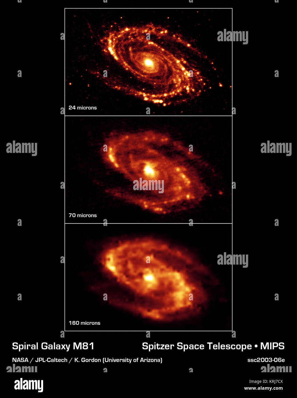 Il magnifico e polverosa i bracci di spirale della vicina galassia Messier 81 sono evidenziate in questi NASA telescopio spaziale Spitzer immagini. Situato nel nord della costellazione dell'Orsa Maggiore (che comprende anche il grande bilanciere), questa galassia è facilmente visibile attraverso il binocolo o un piccolo telescopio. M81 si trova a una distanza di 12 milioni di anni luce. I tre pannelli a mosaico è una serie di immagini ottenute con l'imaging multibanda fotometro. Infrarosso termico emissione a 24 micron (superiore), 70 micron (centro) e 160 micron (fondo) è mostrato nelle immagini. Nota che l'efficace resolutio spaziale Foto Stock