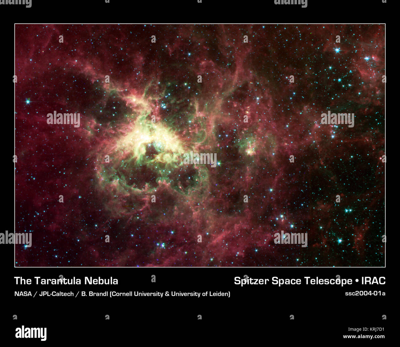 NASA il nuovo telescopio spaziale Spitzer, precedentemente noto come lo spazio telescopio ad infrarossi Facility, ha catturato in un livello di dettaglio incredibile la spidery filamenti e stelle neonate della tarantola Nebula, un ricco di star-regione di formatura noto anche come 30 Doradus. Questa nube di polvere incandescente e gas è situato nella grande Magellanic Cloud, la galassia più vicina alla nostra Via Lattea ed è visibile principalmente dall'Emisfero Meridionale. Questa immagine di un calderone interstellare fornisce un'istantanea dei complessi processi di fisica e chimica che governano la nascita -- e la morte -- di stelle. Nel cuore della nebulosa ho Foto Stock