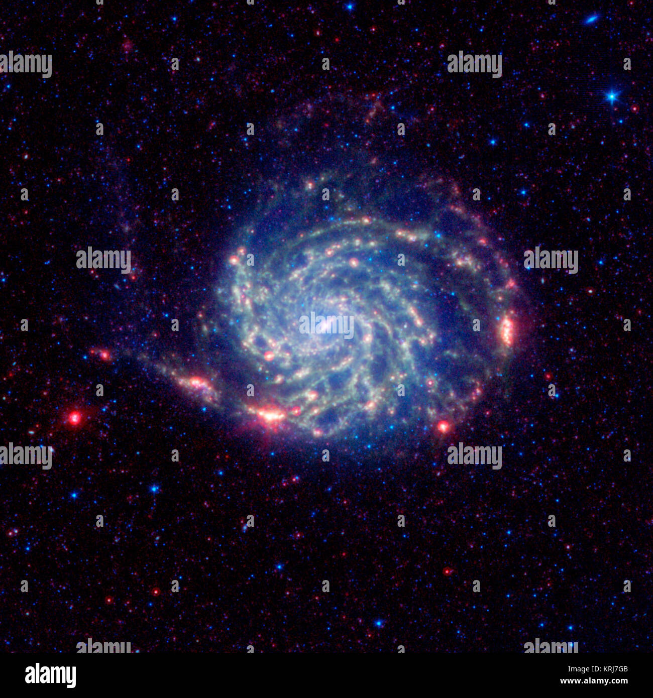 La Girandola galaxy, altrimenti noto come Messier 101, sport luminoso rossastro bordi in questa nuova immagine infrarossa dalla NASA il telescopio spaziale Spitzer. La ricerca da Spitzer ha rivelato che questo esterno zona rossa manca di molecole organiche presenti nel resto della galassia. Il rosso e macchie blu al di fuori della galassia a spirale sono sia in primo piano o più stelle galassie lontane. I prodotti organici, chiamati idrocarburi policiclici aromatici sono polverosi, carbonio-contenenti molecole che aiutano la formazione di stelle. Sulla Terra, si trovano ovunque reazioni di combustione ha luogo come un barbeque pit e exhau Foto Stock