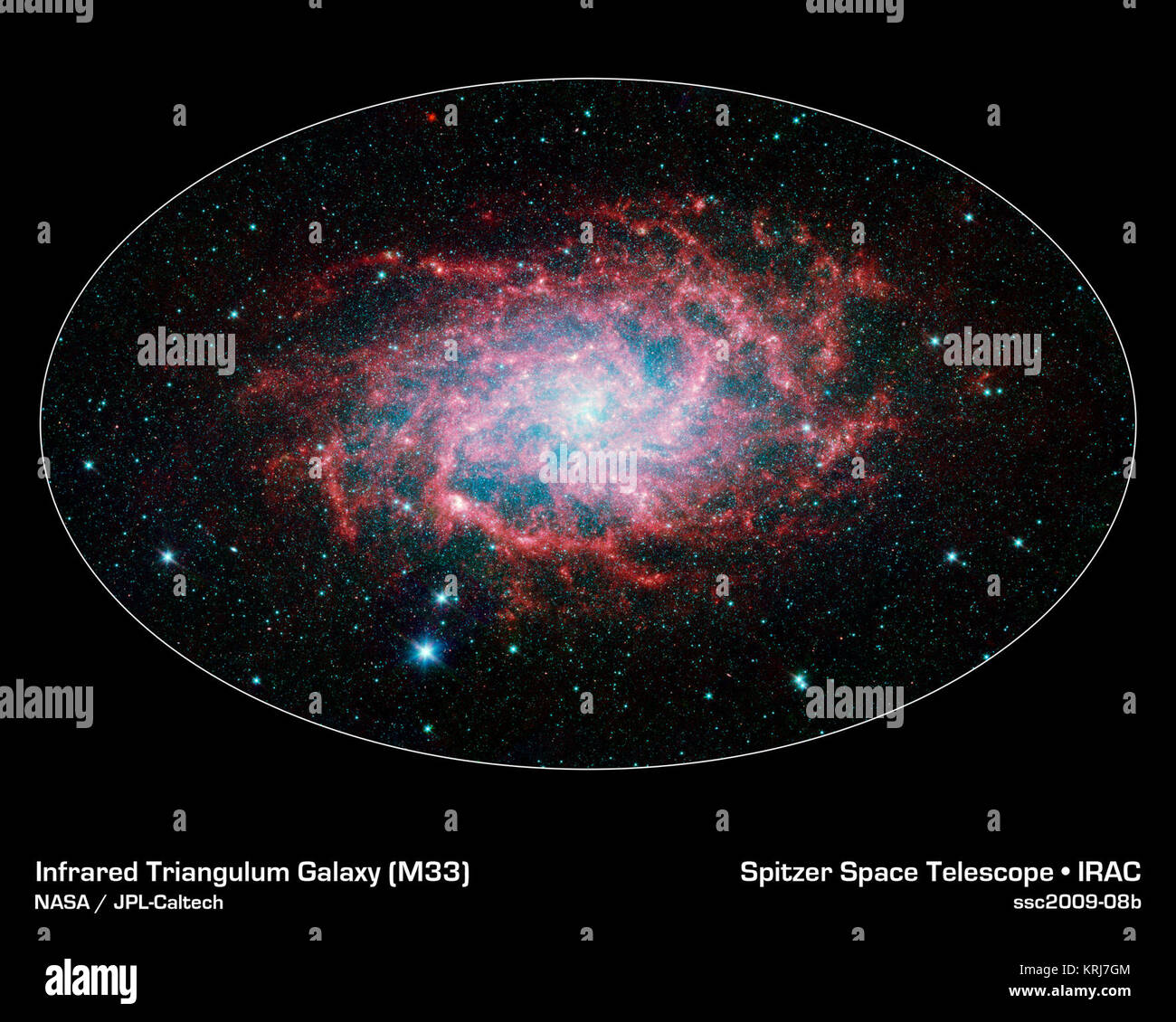 Uno dei nostri più stretti vicini galattico mostra la sua straordinaria bellezza di questa nuova immagine dalla NASA il telescopio spaziale Spitzer. M33, noto anche come il Triangulum Galaxy, è un membro di ciò che è noto come il nostro gruppo locale di galassie. Insieme con la nostra Via Lattea, questo gruppo viaggia insieme nell'universo, come essi sono gravitationally bound. Infatti, M33 è uno dei pochi galassie che si sta spostando verso la Via Lattea nonostante il fatto che lo spazio stesso è in espansione, causando la maggior parte delle galassie nell'universo di crescere più lontano e più oltre. Quando osservata con dello Spitzer gli occhi a infrarossi, questa elegante galax a spirale Foto Stock