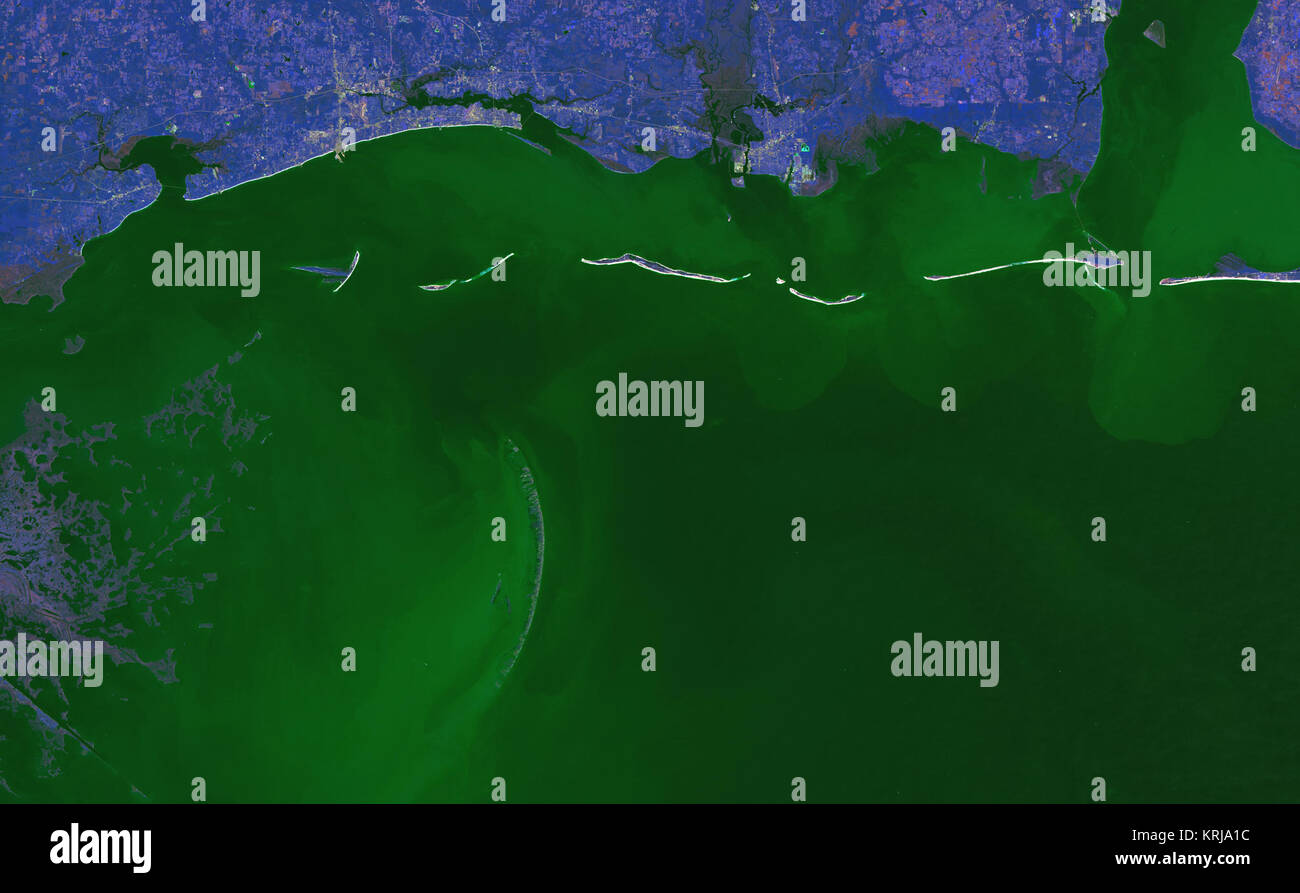 Il grazioso curva delle isole Chandeleur assomiglia a un multi-disossato spina dorsale che collega la costa del Golfo del Mississippi al delta del fiume Mississippi in Louisiana. Come tutte le isole di barriera, la Chandeleur isole forma una sottile parete protettiva tra il mare aperto e la terraferma, in questo caso la Louisiana è san Bernardo parrocchia. Le isole di assorbire le onde più forti, ospitando la terraferma durante tempeste di grandi dimensioni. Non sorprende quindi che le isole di barriera lungo la U.S. Costa del Golfo è cambiata radicalmente dopo il passaggio dell uragano Katrina e nessun cambiamento è così drammatica come quella che si osserva nel Chandeleur è Foto Stock Il grazioso curva delle isole Chandeleur assomiglia a un multi-disossato spina dorsale che collega la costa del Golfo del Mississippi al delta del fiume Mississippi in Louisiana. Come tutte le isole di barriera, la Chandeleur isole forma una sottile parete protettiva tra il mare aperto e la terraferma, in questo caso la Louisiana è san Bernardo parrocchia. Le isole di assorbire le onde più forti, ospitando la terraferma durante tempeste di grandi dimensioni. Non sorprende quindi che le isole di barriera lungo la U.S. Costa del Golfo è cambiata radicalmente dopo il passaggio dell uragano Katrina e nessun cambiamento è così drammatica come quella che si osserva nel Chandeleur è Foto Stock