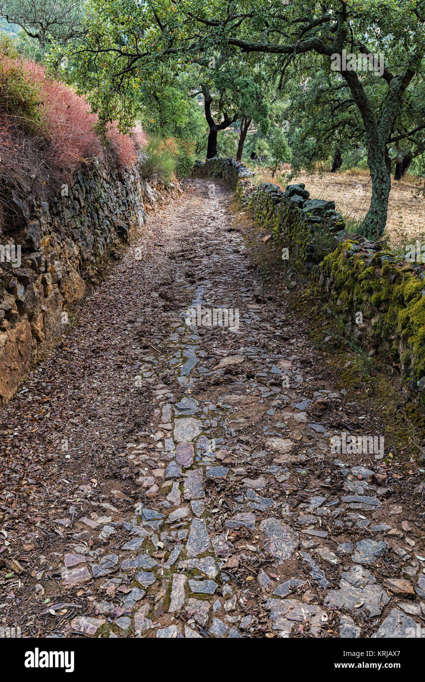 Paesaggio in una vecchia strada rurale vicino a Penha Garcia. Il Portogallo. Foto Stock