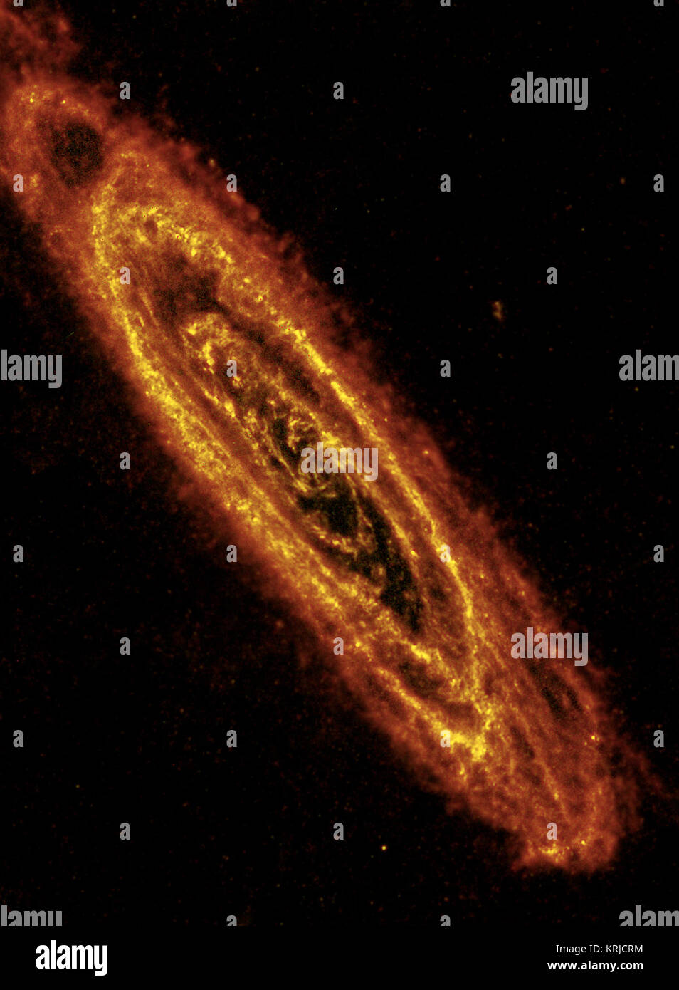 Questa immagine di Andromeda galassia a spirale highlights esplosivo stelle al suo interno e lo scambiatore di calore e polveroso stelle formando nei suoi molti anelli. L'immagine è di una osservazione dall'Osservatorio spaziale Herschel presi in luce a infrarossi. La NASA gioca un ruolo in entrambi questi Agenzia Spaziale Europea-led missioni. Herschel fornisce una visione dettagliata a raffreddare le nuvole di star nascita che la linea della galassia cinque anelli concentrici. Massive giovani stelle sono coperte di riscaldamento della polvere che li circondano, provocando il loro bagliore nel più lungo della lunghezza d'onda di luce a infrarossi, noto come lontano infrarosso, che vede Herschel. Andromeda ho Foto Stock